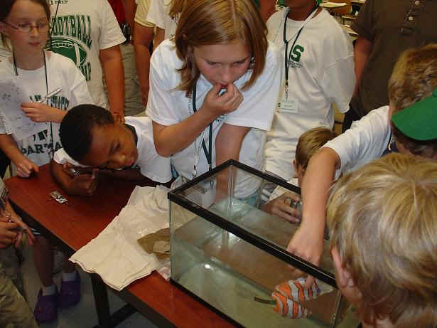 Students playing with robotic fish