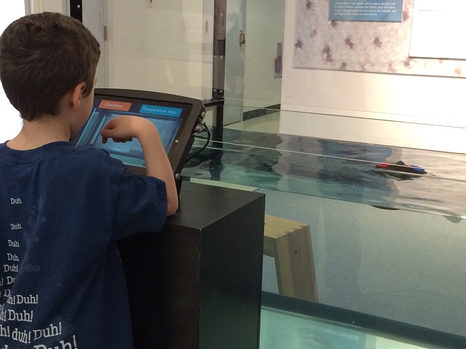 Boy using the exhibit